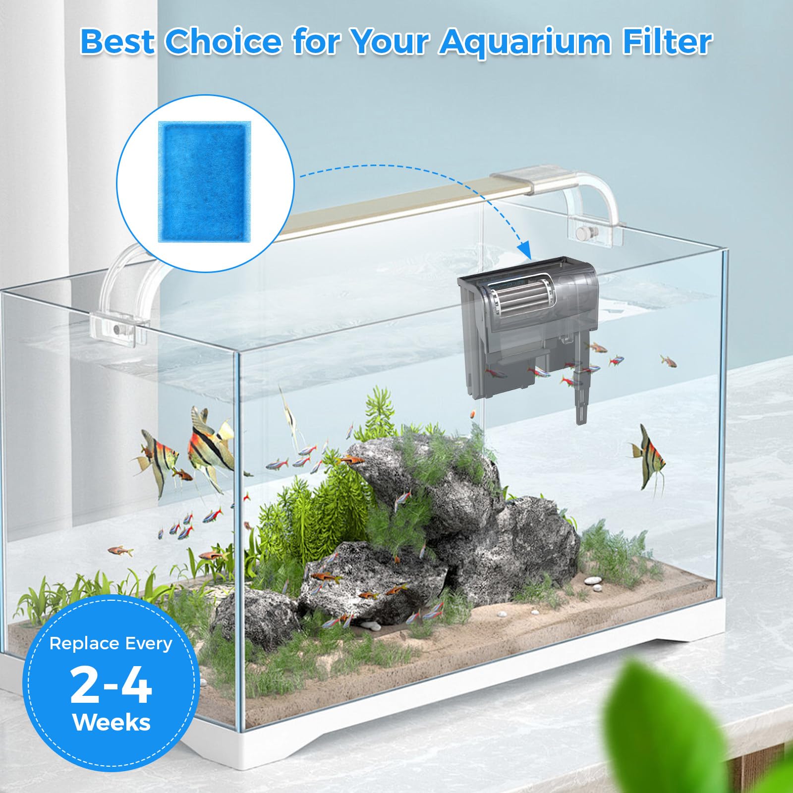 Qwakay clear water usage illustrates potential healthier tank aesthetics.