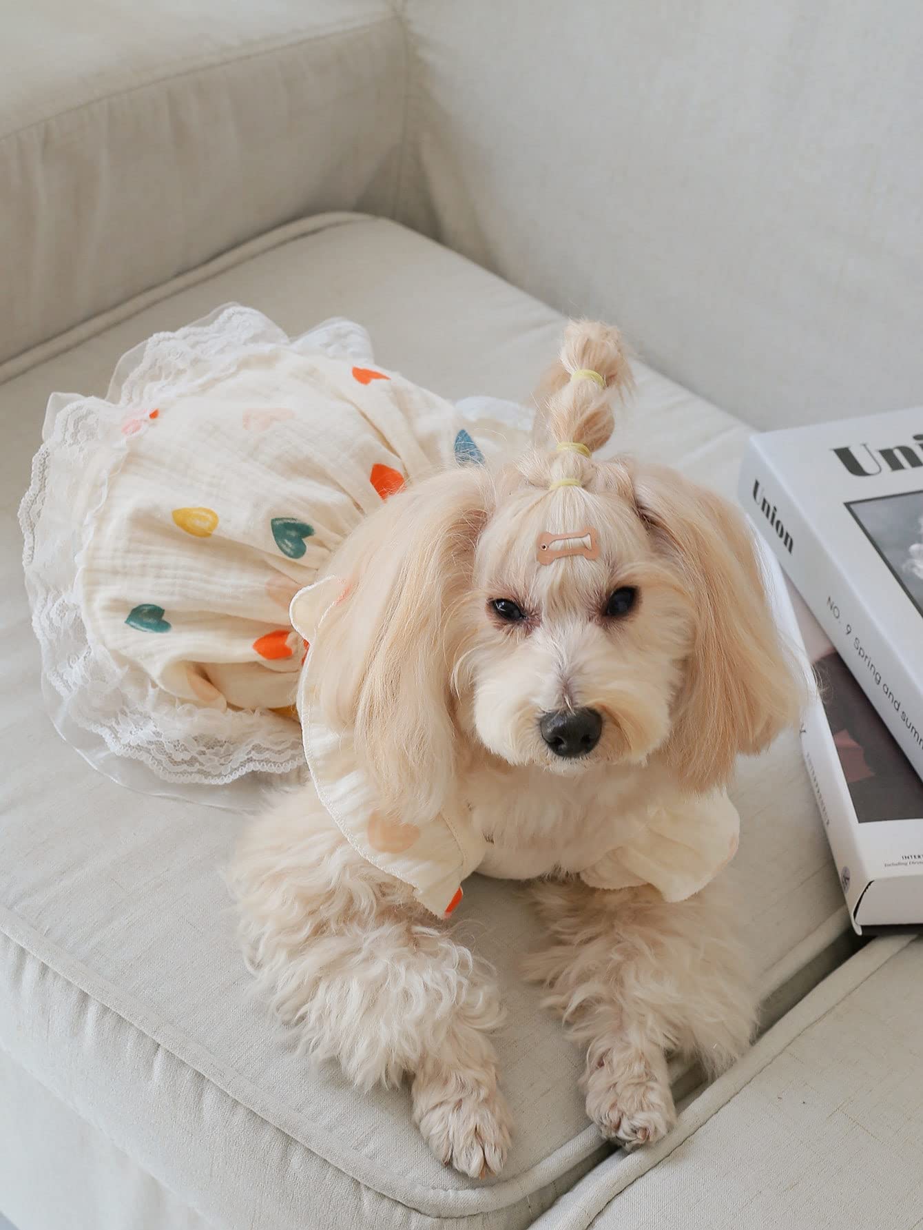 QWINEE dog dress with ruffle trim adds charming detail for small pets.