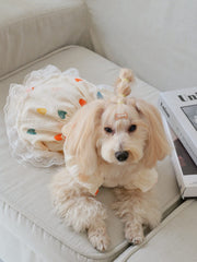 QWINEE dog dress with ruffle trim adds charming detail for small pets.