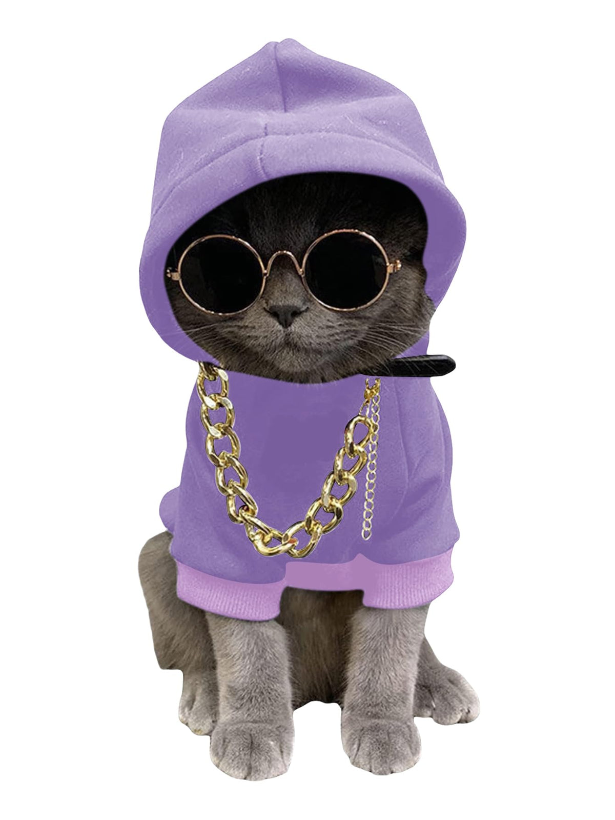 QWINEE dog hoodie pullover with sunglasses enhances playful outdoor style.