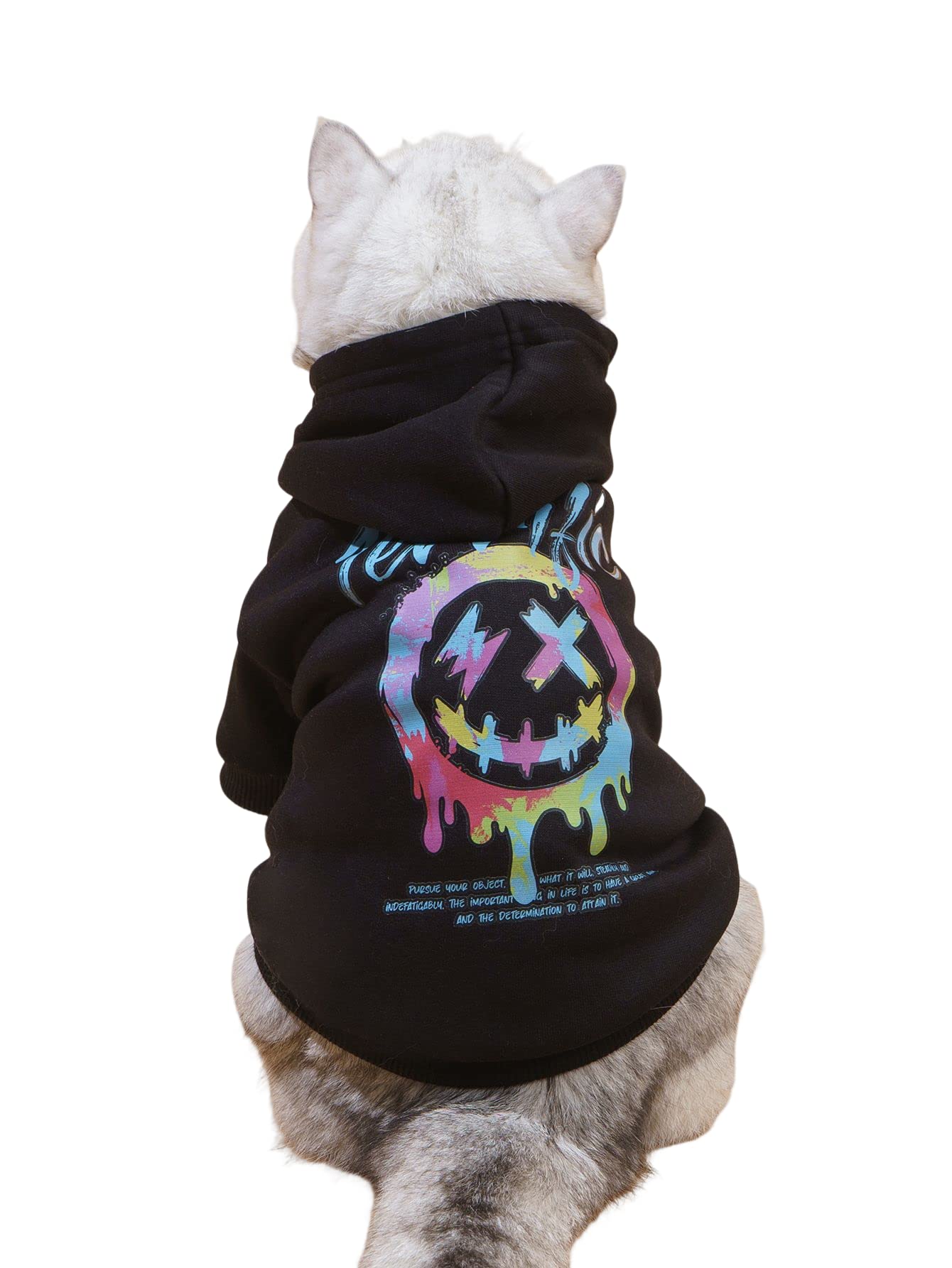 QWEEE Stylish Dog Clothes back design adds playful personality to daily walks.