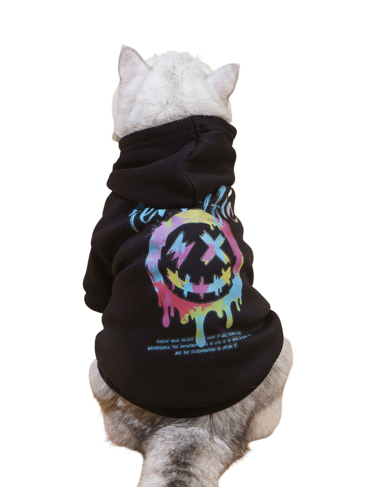 QWEEE Stylish Dog Clothes back design adds playful personality to daily walks.