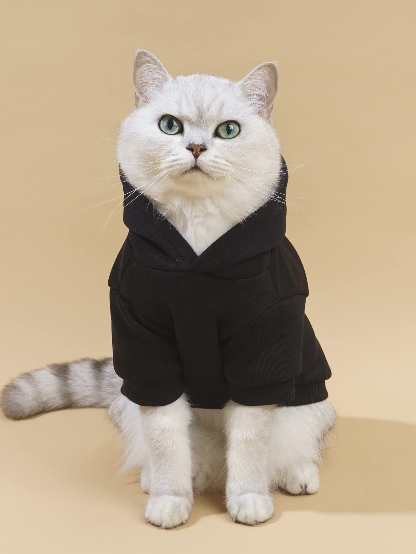 QWEEE Stylish Dog Clothes front view shows a snug hoodie for small to medium dogs.