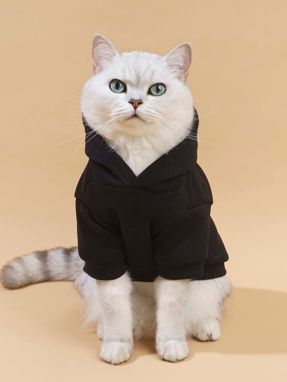 QWEEE Stylish Dog Clothes front view shows a snug hoodie for small to medium dogs.