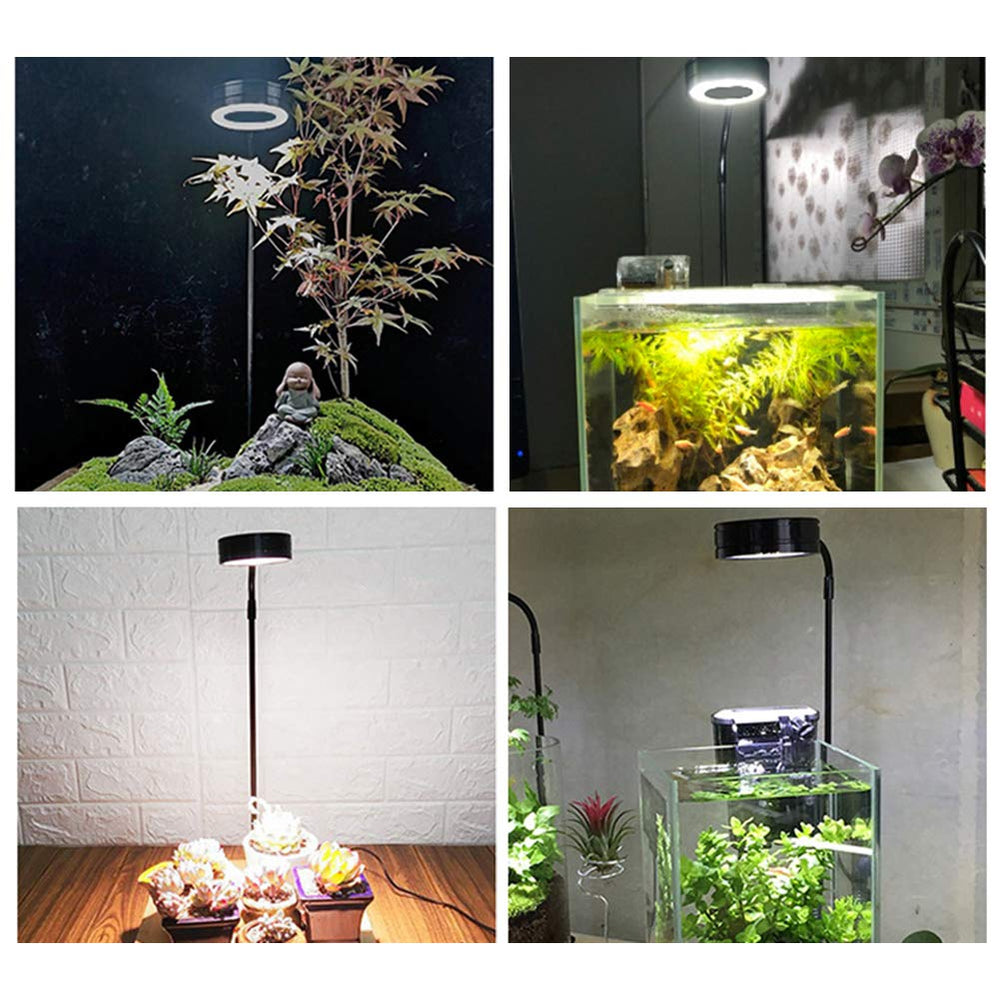 QWLWBU LED lamp suited for aquarium, terrarium, or desk plant displays.