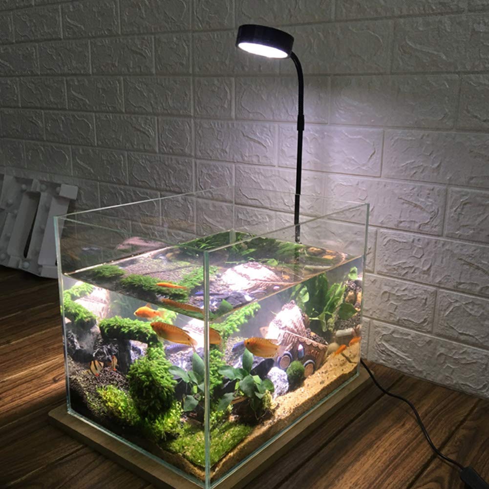 QWLWBU LED UVIR spectrum enhances natural colors and subtle growth cues.