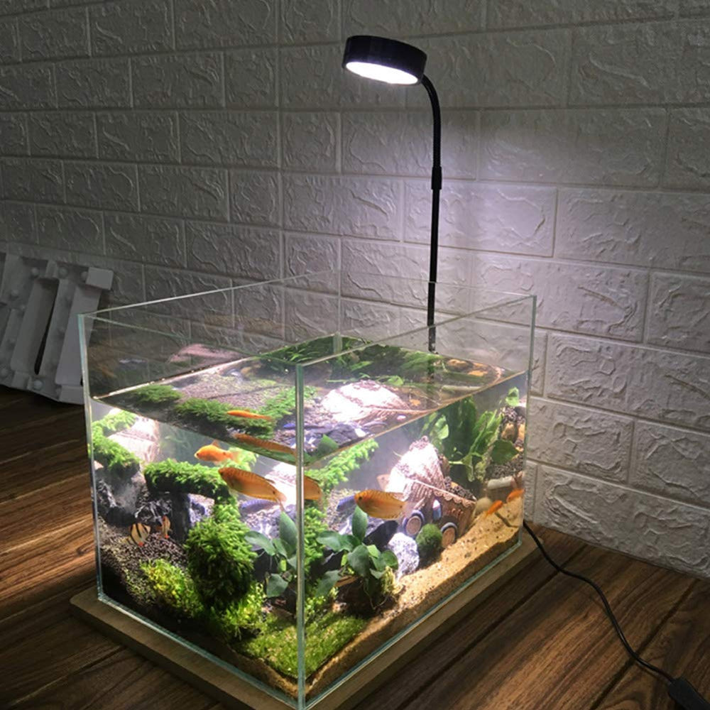 QWLWBU LED UVIR spectrum enhances natural colors and subtle growth cues.