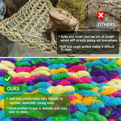 QWR Soft Reptile Hammock adds colorful habitat decor and comfort for bearded dragons