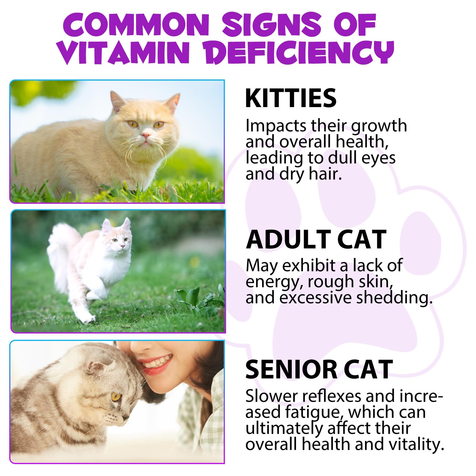 QwsYaay immune-support liquid shows vitamins boosting natural defenses in felines