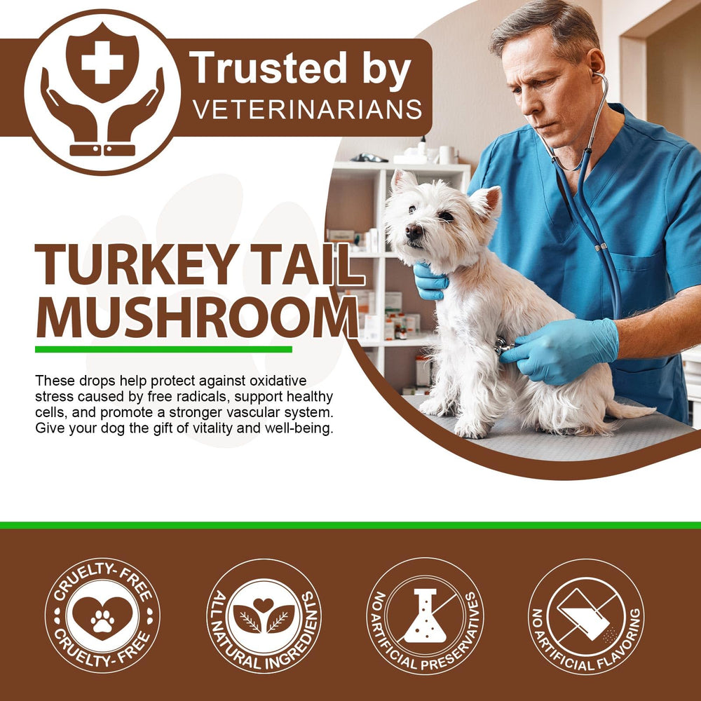 QwsYaay dogs-active-health image suggests boosted vitality and mobility.