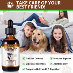 QwsYaay probiotic turmeric dog supplement emphasizes joint support and gut health.
