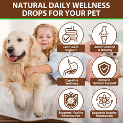 QwsYaay turkey tail mushroom blend highlights antioxidant support for digestion.