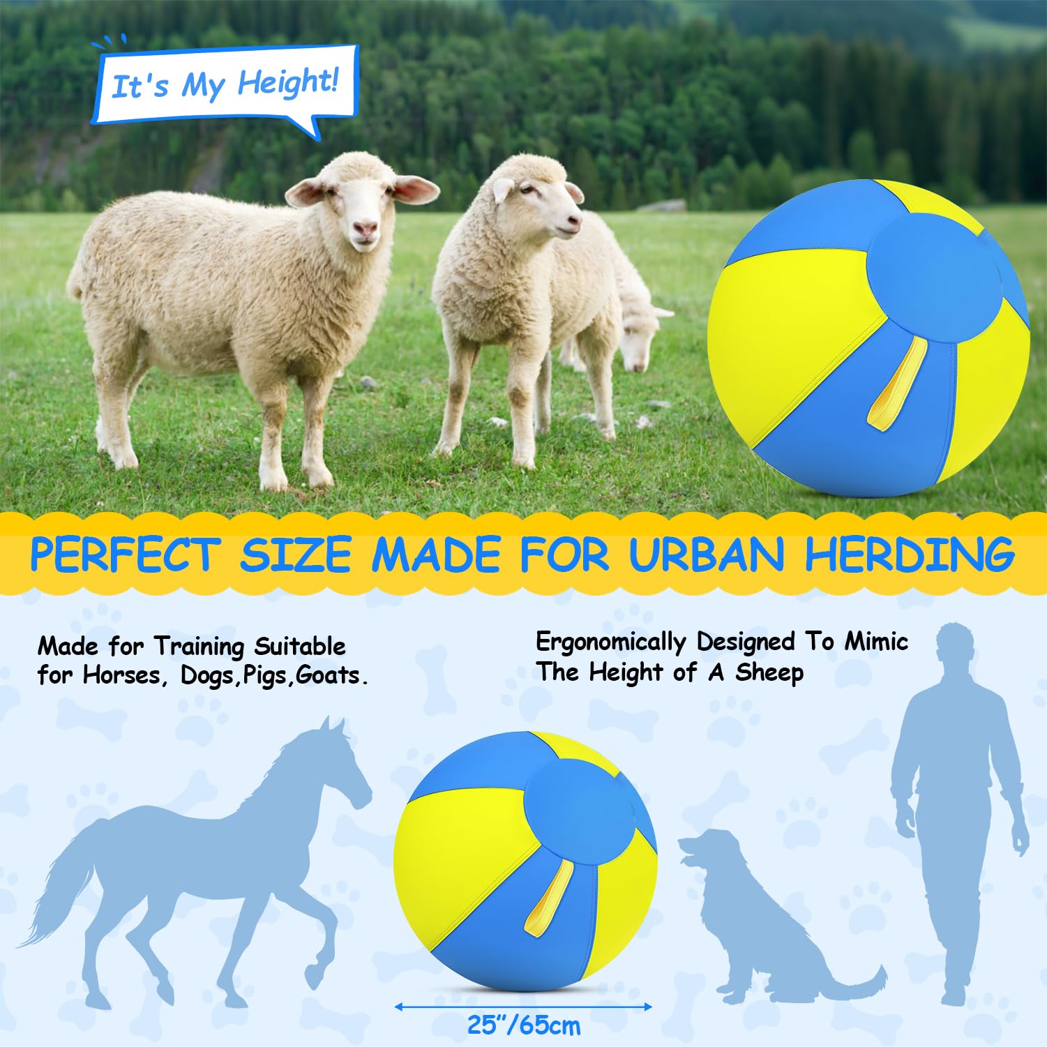 QWV 25-inch herding ball handles in action supporting interactive training and guidance