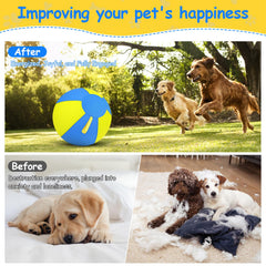 QWV 25-inch herding ball in action with a large dog during agility play