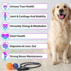 QwsYaay dog multivitamin image highlights heart health support.