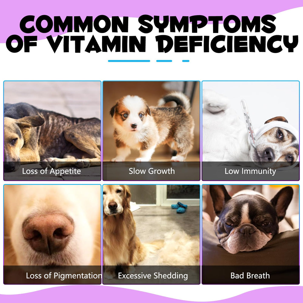 QwsYaay dog multivitamin immune-support image suggests daily resilience.