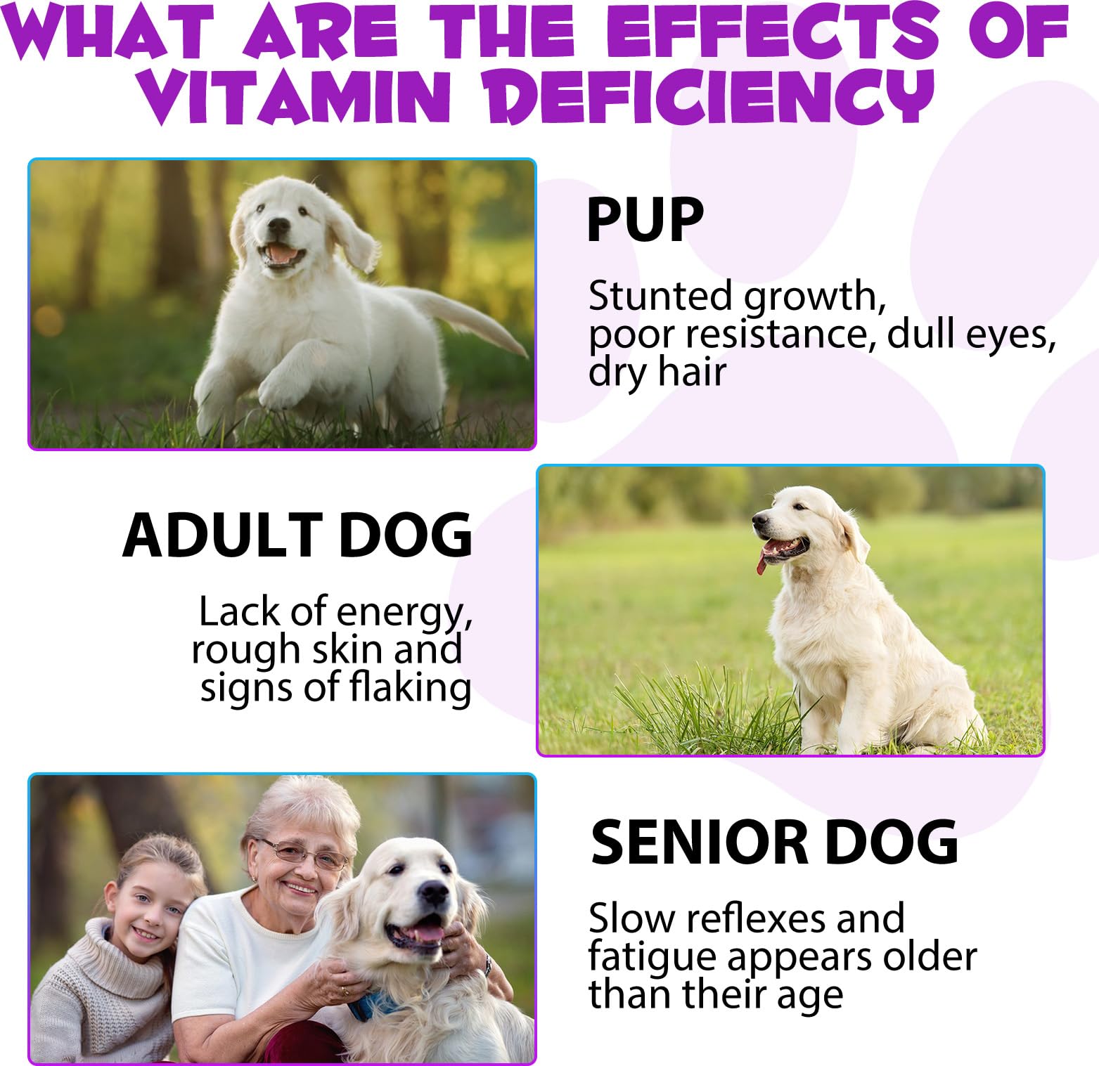 QwsYaay probiotic blend image indicates gut health benefits.
