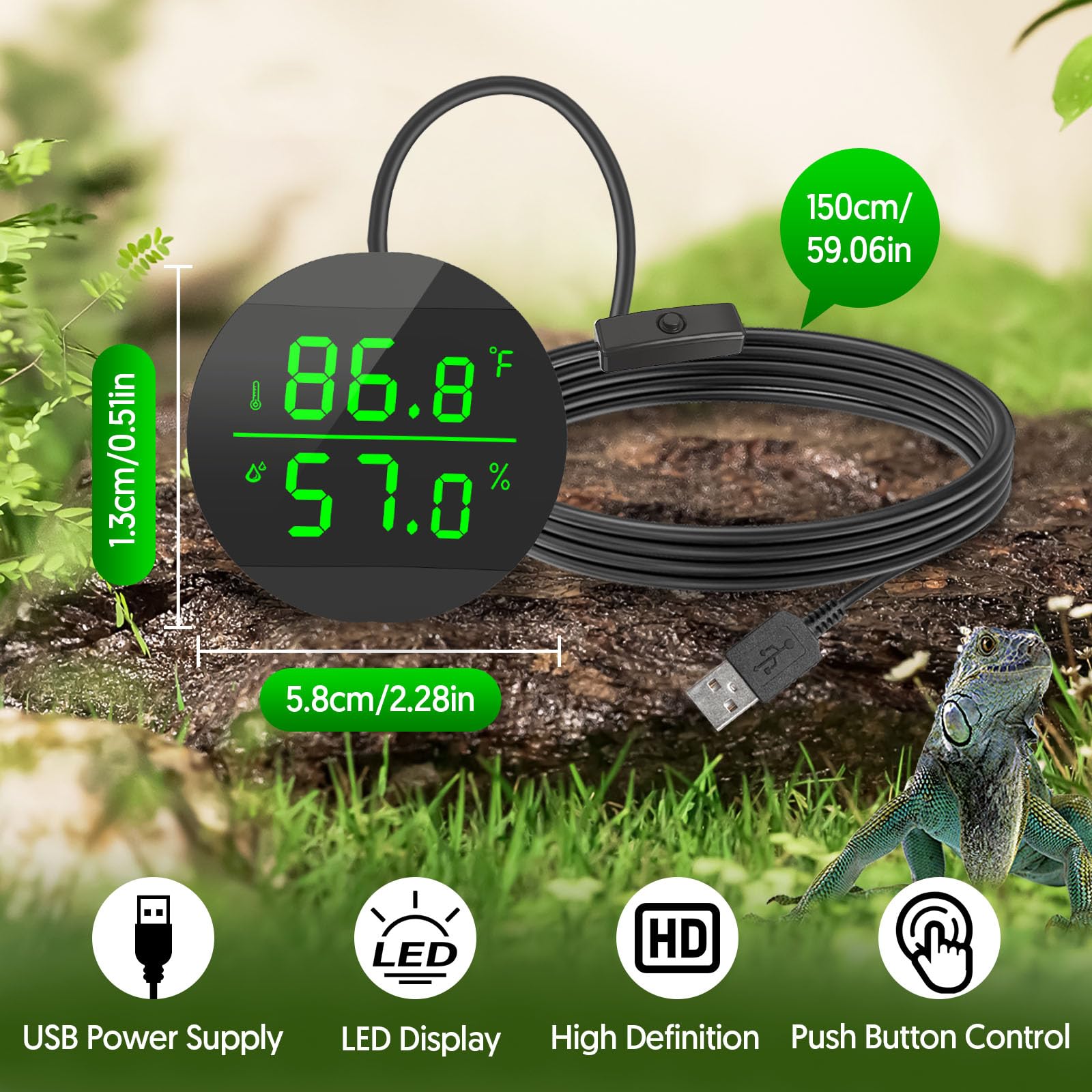 QZQ bearded dragon habitat setup with precise temp and humidity