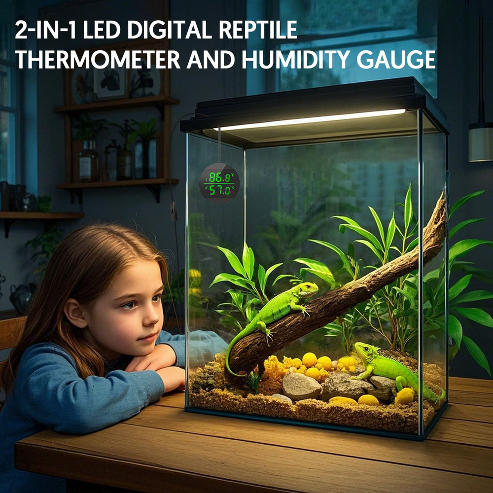 QZQ reptile thermometer LED display provides clear readouts in bright and dark conditions