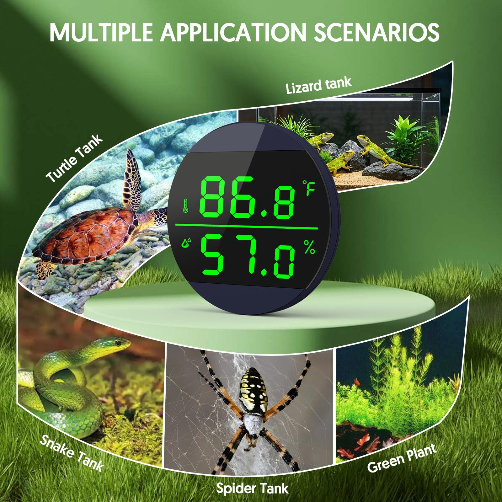 QZQ Reptile compact-design hygrometer neatly fits small tanks.
