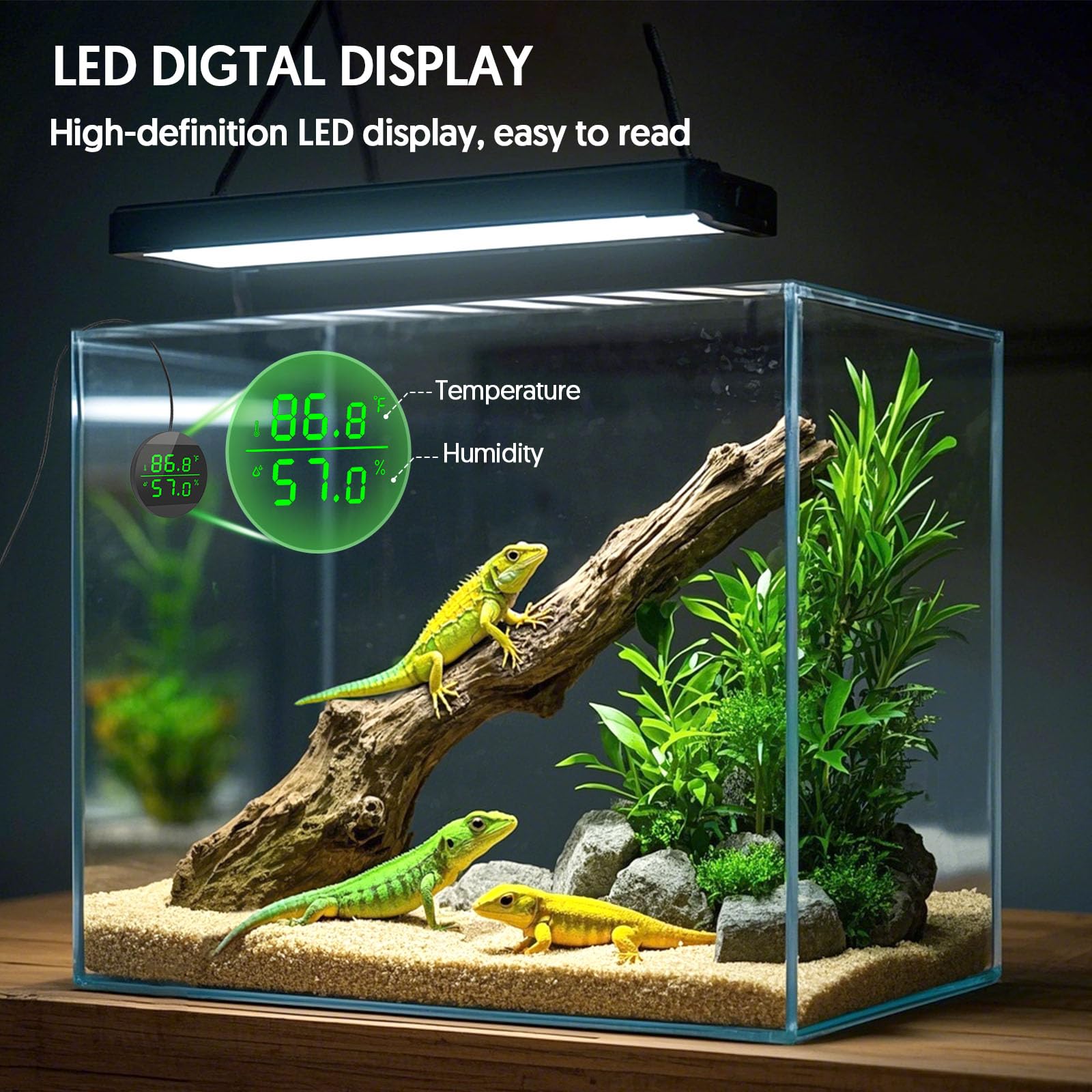 QZQ reptile hygrometer attachment with double-sided tape for easy placement