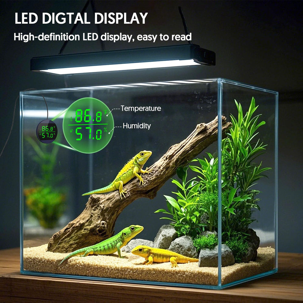 QZQ Reptile LED display closeup highlights clear readings for day and night checks.