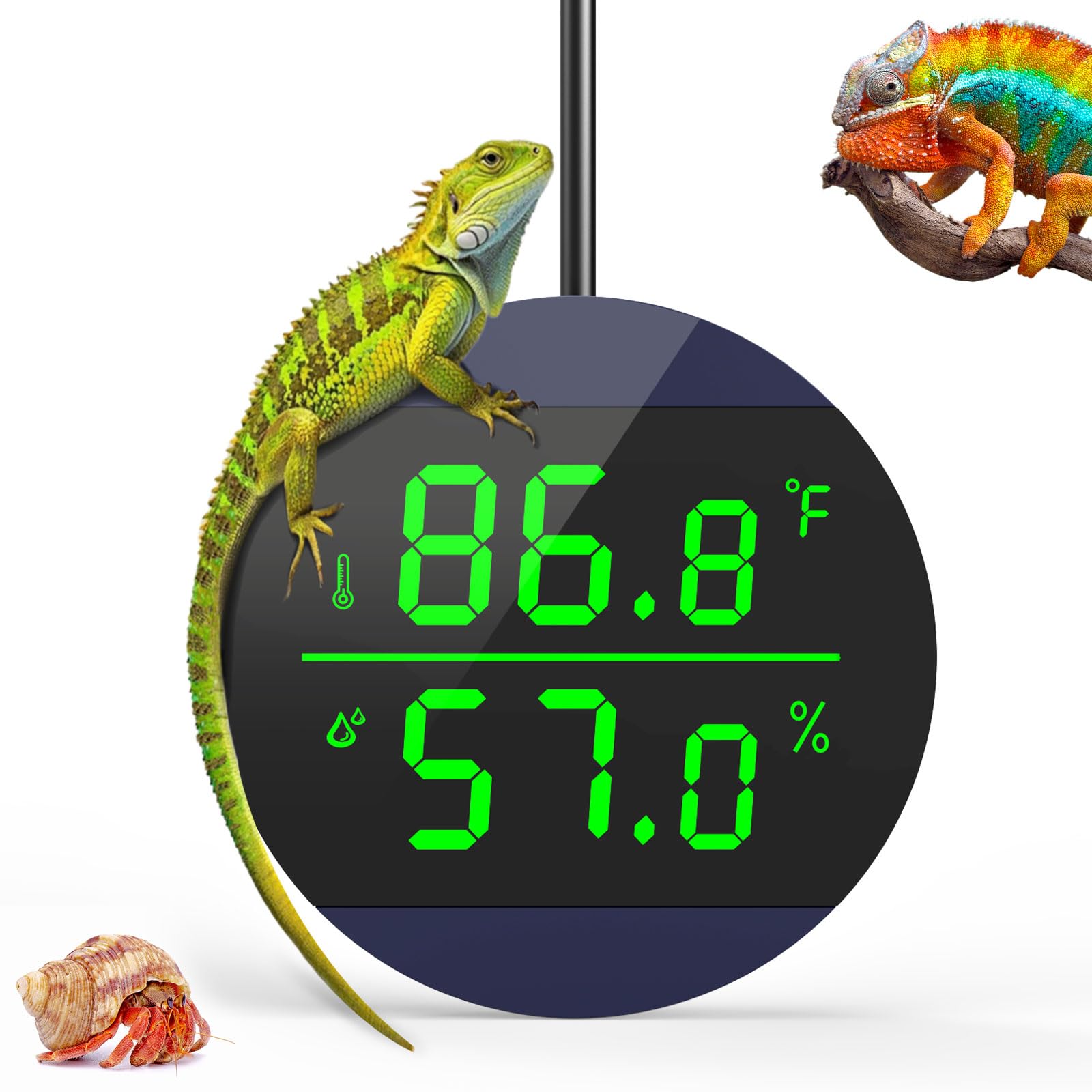 QZQ Reptile thermometer with blue LED display shows habitat temperature and humidity at a glance.