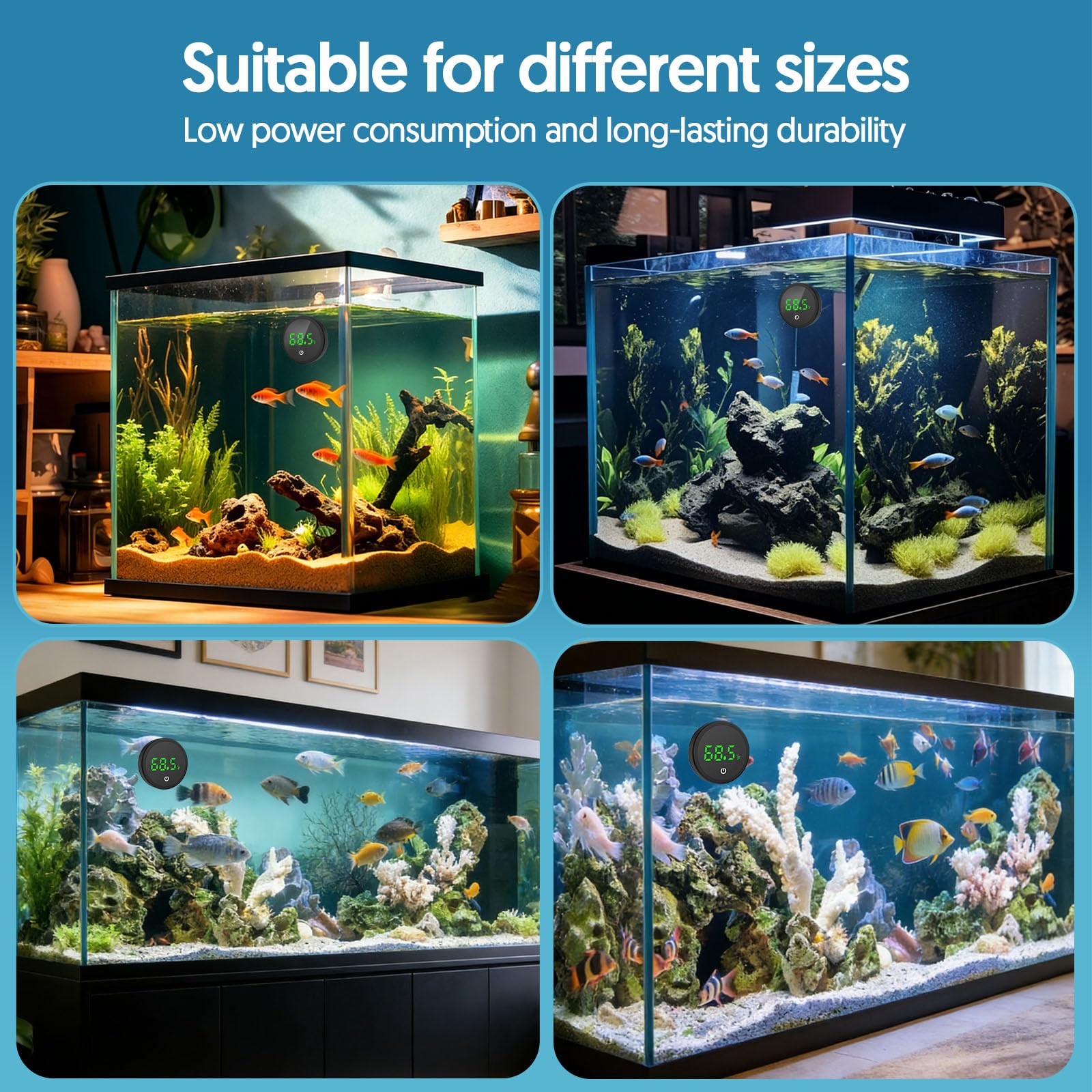 QZQ safe and clean design protects aquatic life while monitoring temperature.