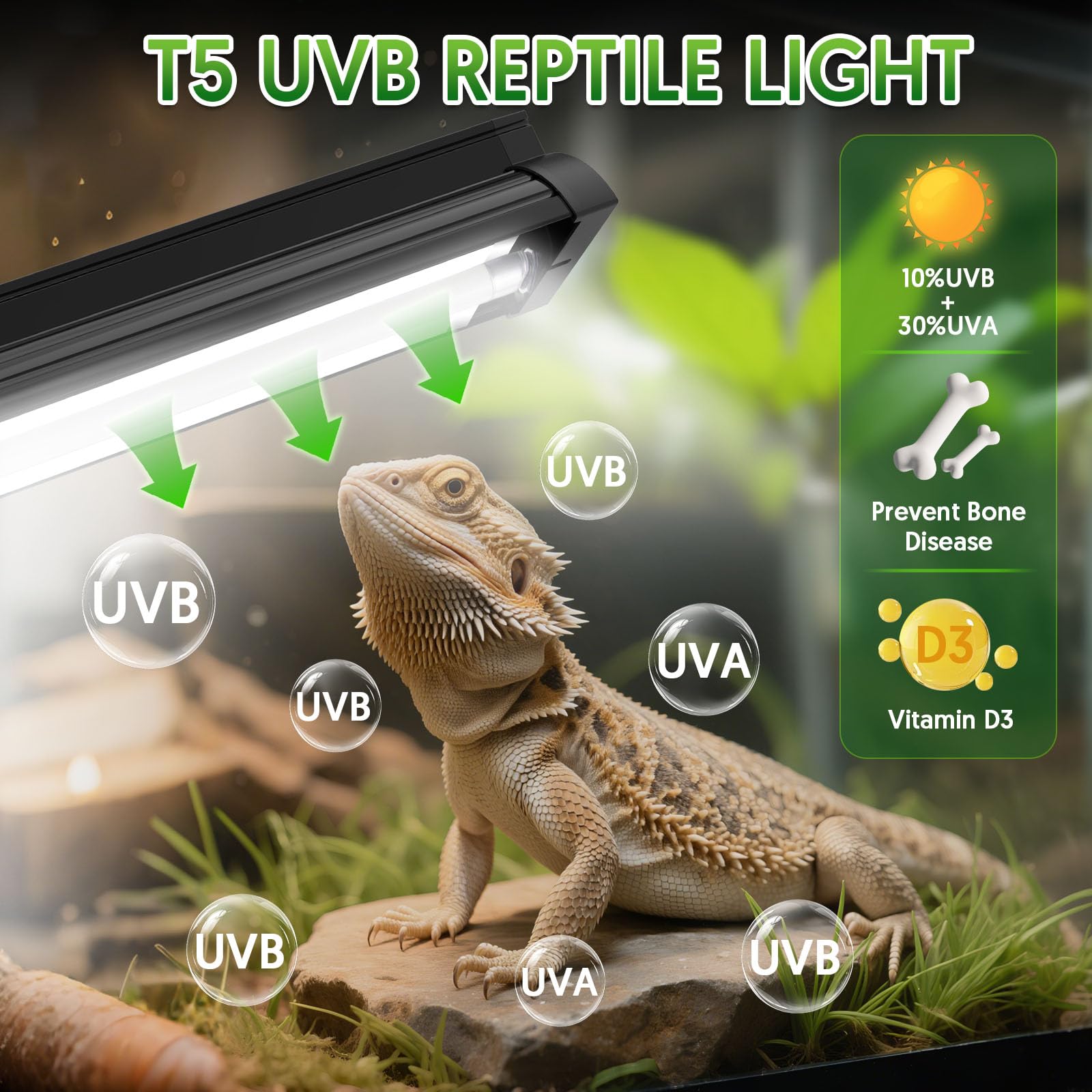 QZQ T5 UVB fixture mounted on mesh lid for easy setup