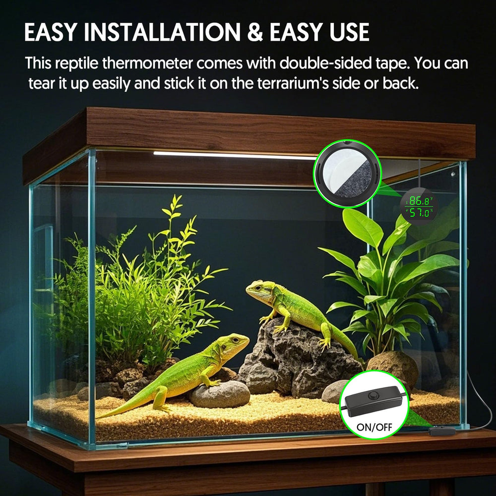 QZQ terrarium climate monitor keeps bearded dragon habitat stable