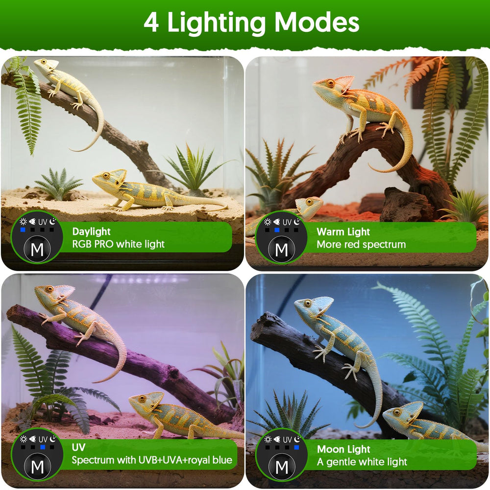 QZQ UVB light daytime mode provides white light for clear viewing and enclosure exploration.