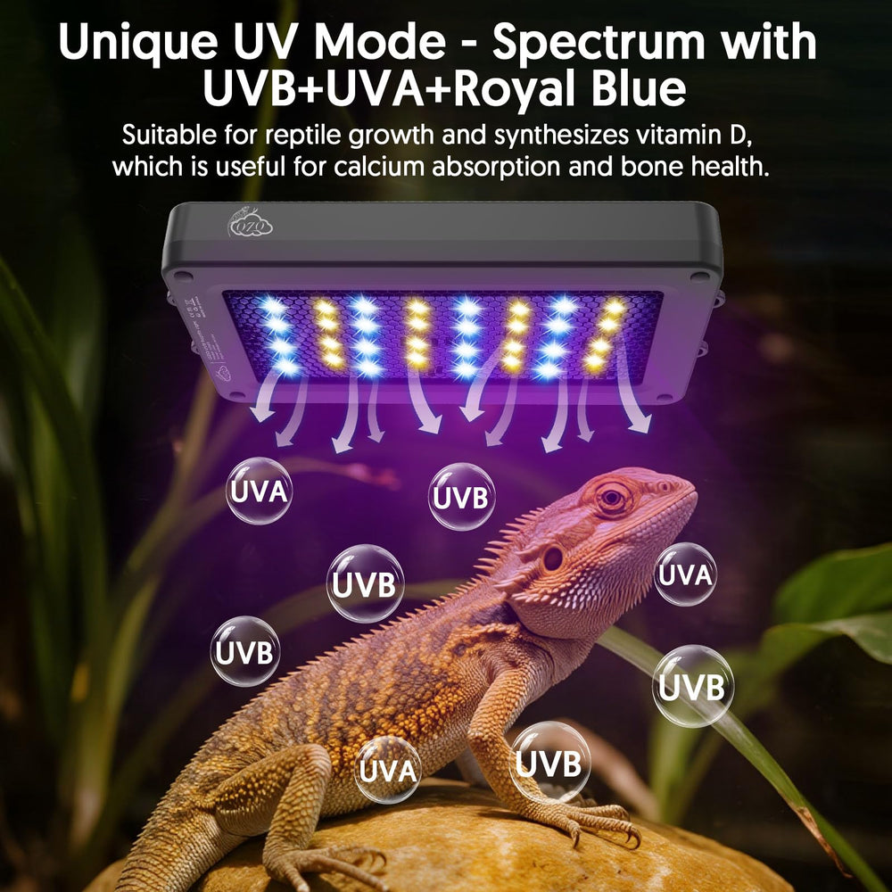 QZQ UVB light UVB/UVA/royal blue combo supports vitamin D-like synthesis and reptile vitality.