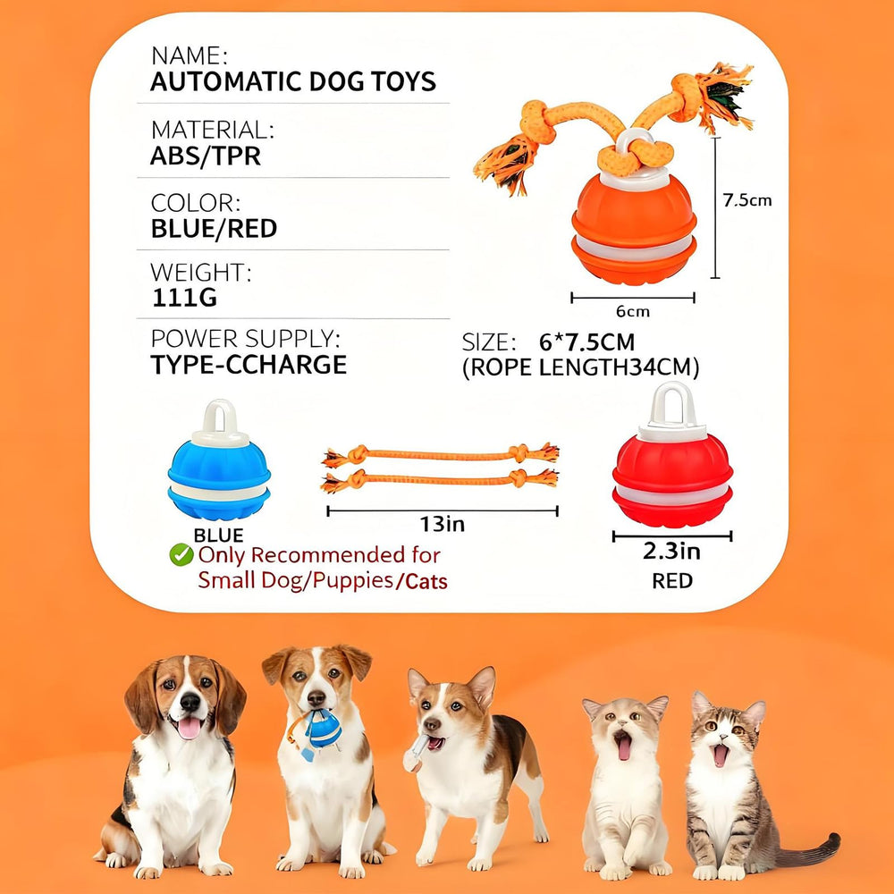 QZTRGDW moving dog ball enables solo play and energy release.