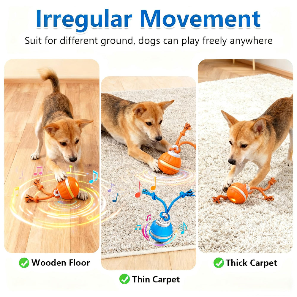 QZTRGDW interactive dog ball with birdsong cue promotes pursuit.