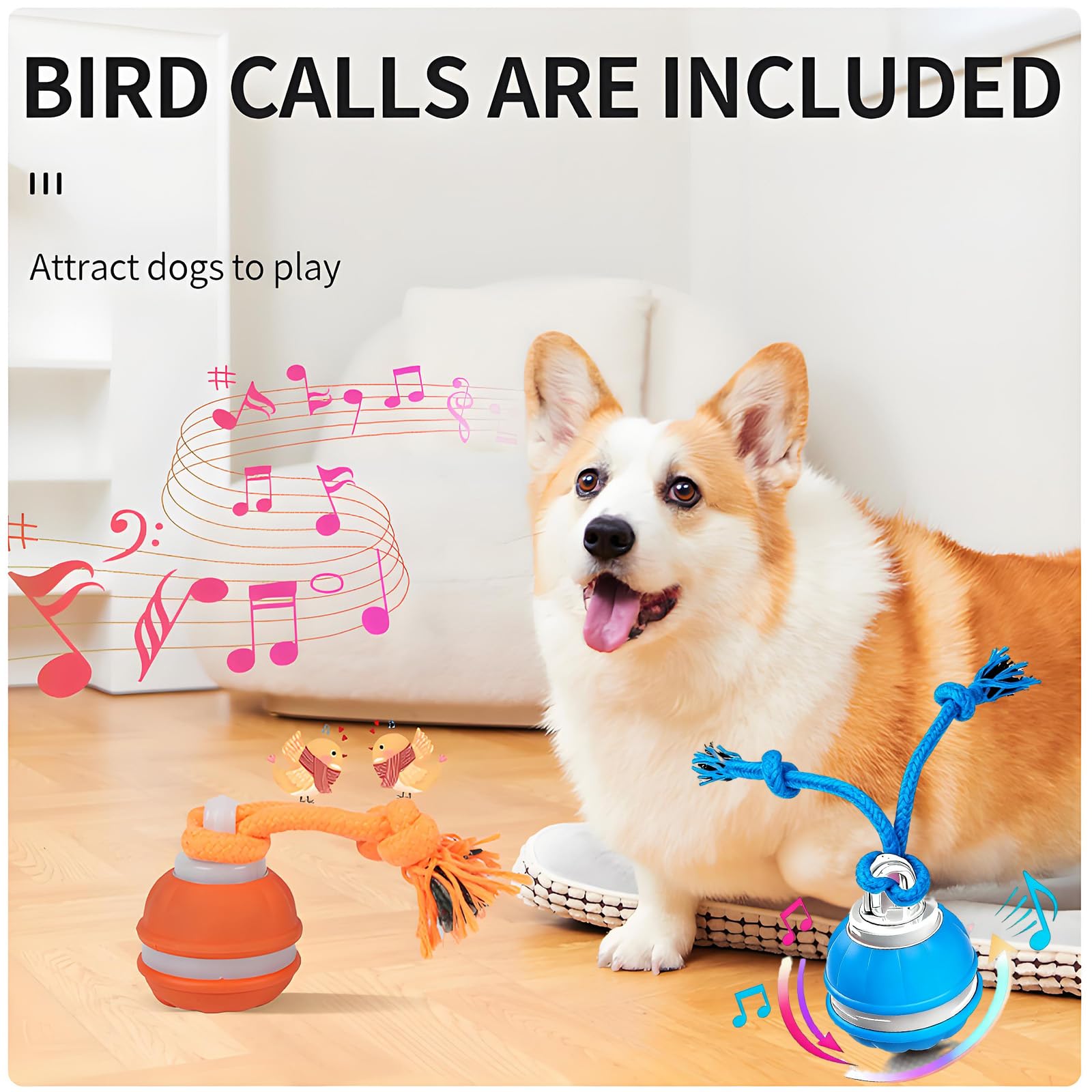 QZTRGDW interactive dog ball standby activation wakes dog play.