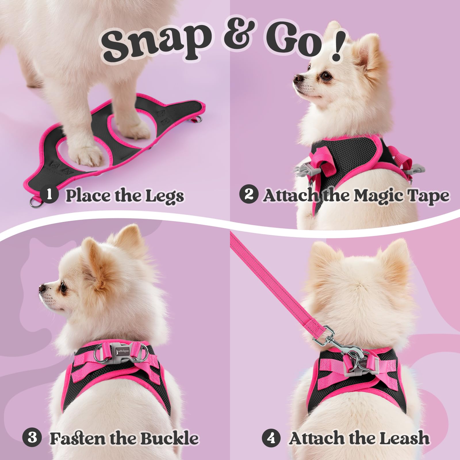 Rabbitgoo arnés para perro pequeño, vista trasera, seguridad con anillos en D.