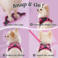 Rabbitgoo arnés para perro pequeño, vista trasera, seguridad con anillos en D.