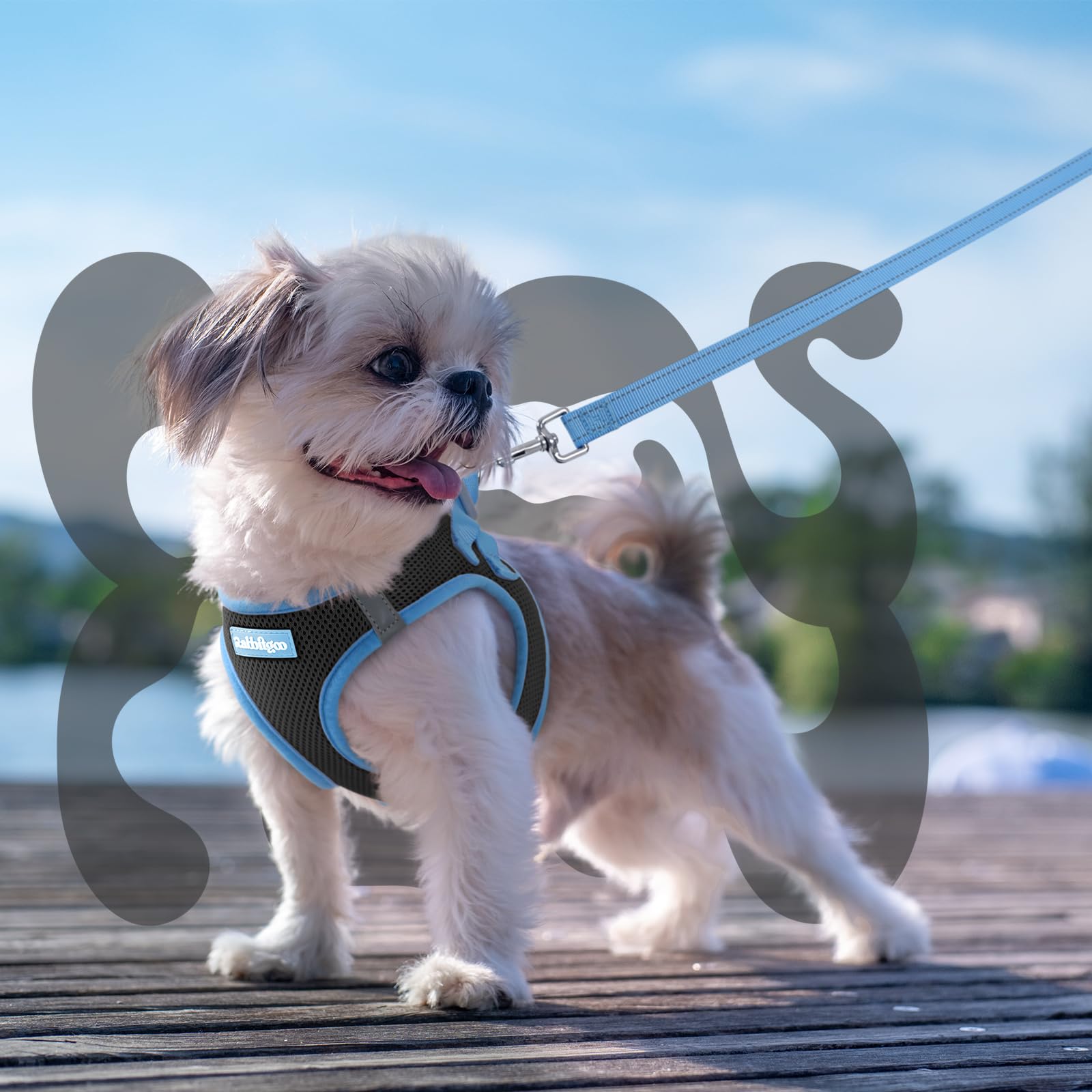  rabbitgoo arnés talla S para perros pequeños y activos