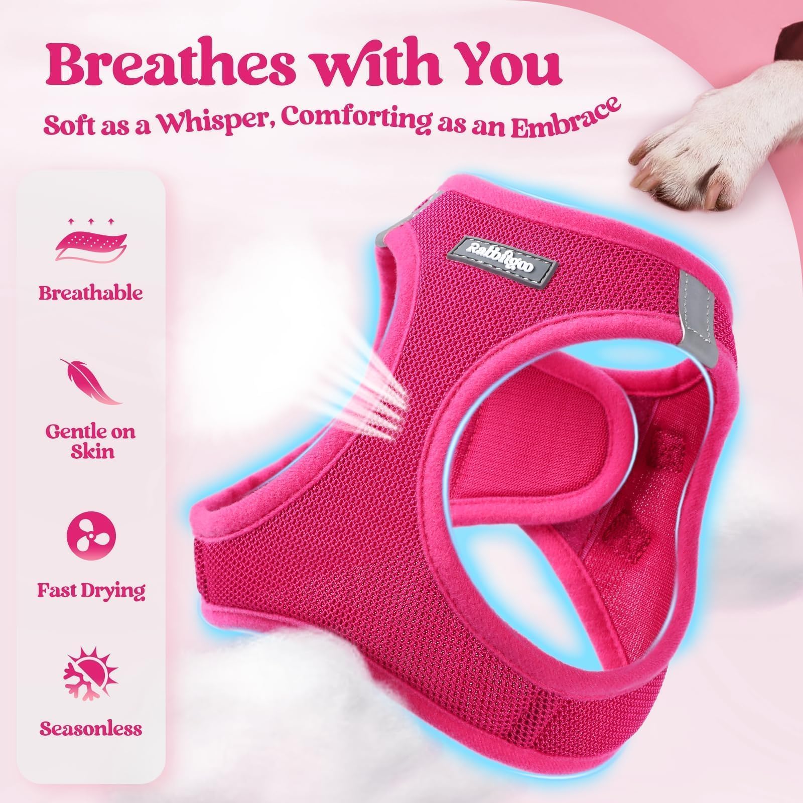 Rabbitgoo breathable mesh keeps pets cool on outdoor adventures.