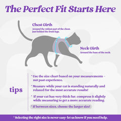 Rabbitgoo cat harness air-mesh padding detail for gentle daily wear