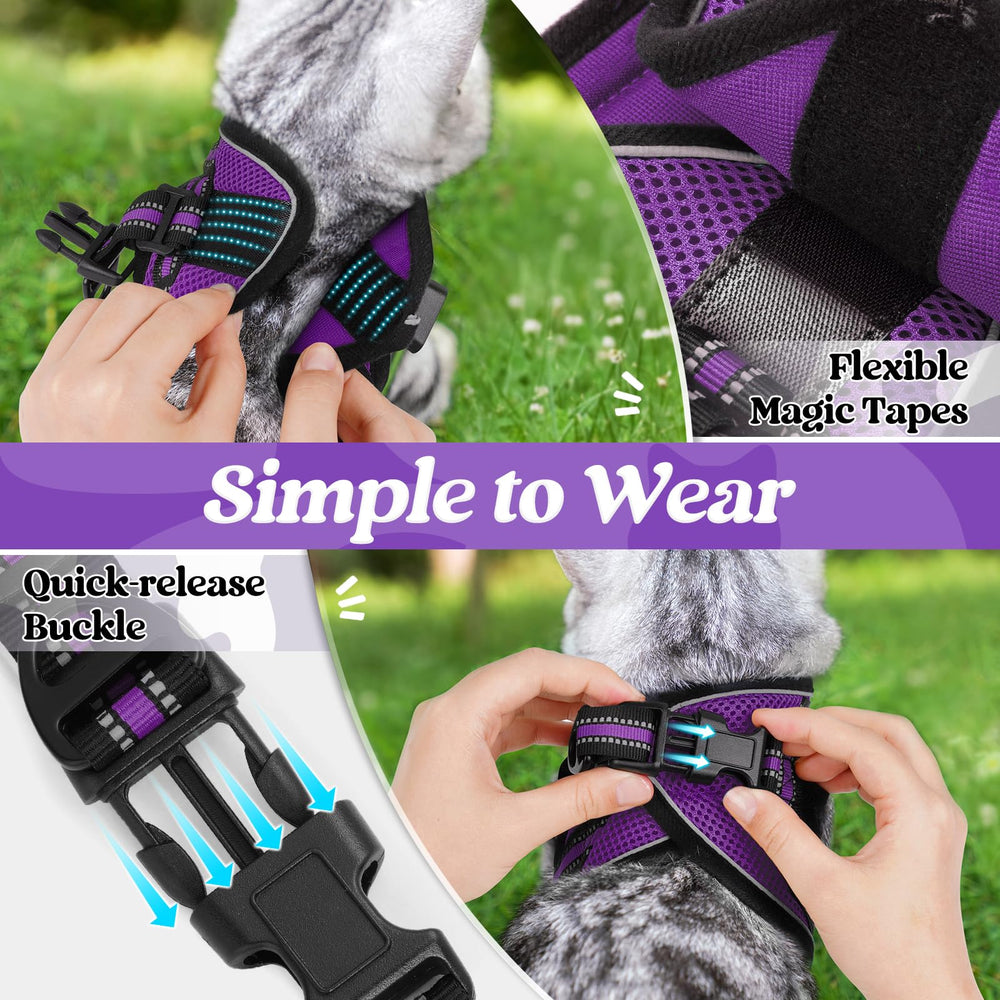 Rabbitgoo cat harness back-clip buckle for secure leash connections
