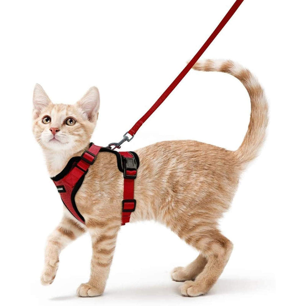 Rabbitgoo cat harness back D-ring for reliable control during walks