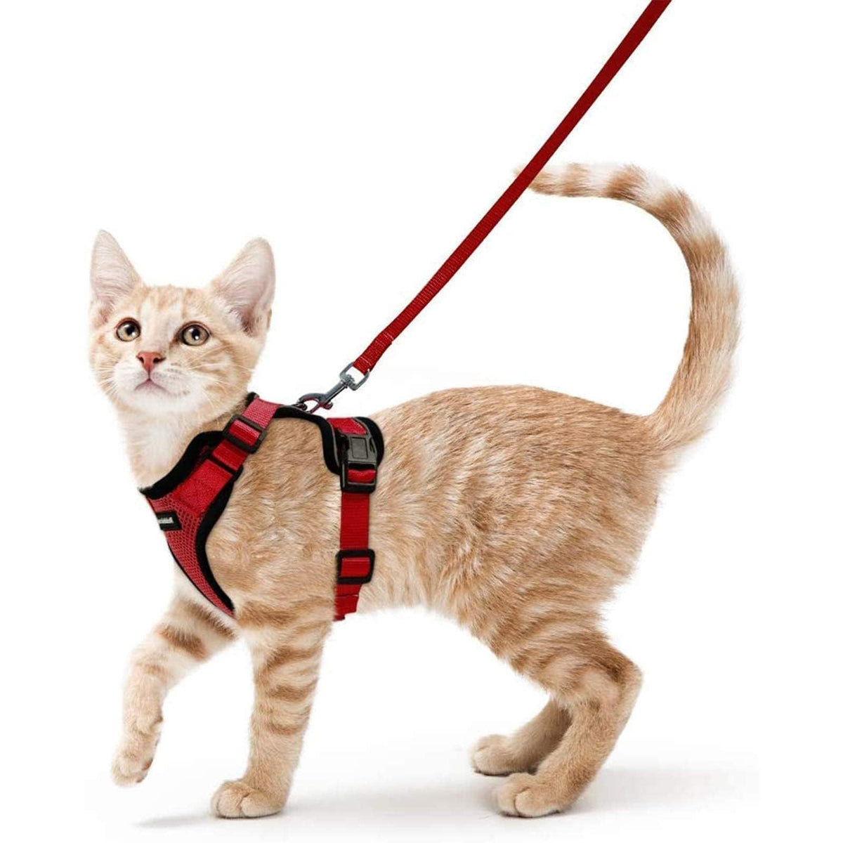 Rabbitgoo cat harness back D-ring for reliable control during walks