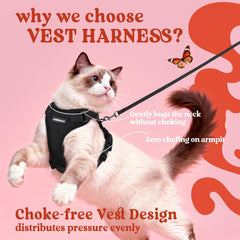 rabbitgoo cat harness back-d-ring-control highlights reliable leash attachment and control.