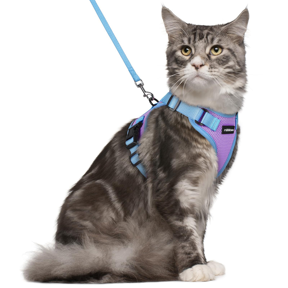 Rabbitgoo cat harness back D-ring for secure leash attachment during outdoor walks.