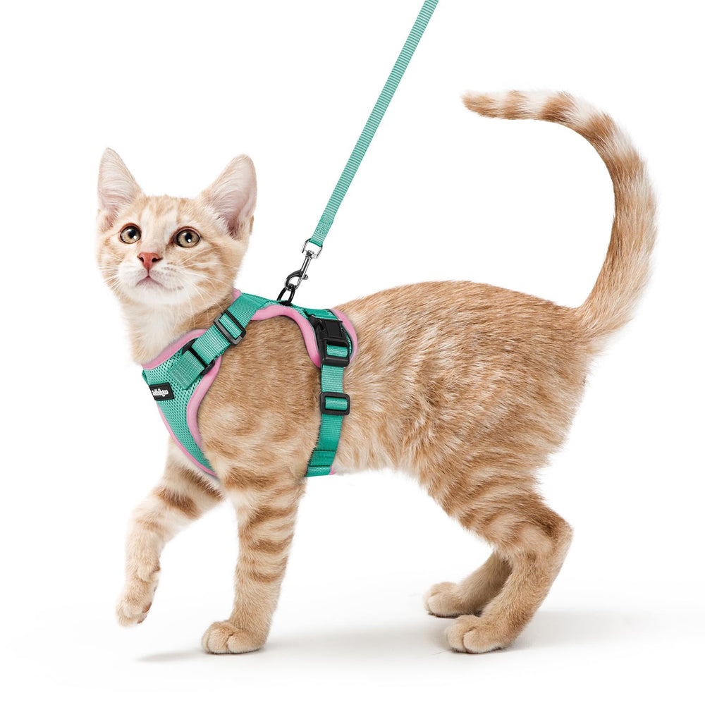 Rabbitgoo cat harness breathable air-mesh keeps your cat cool during strolls.
