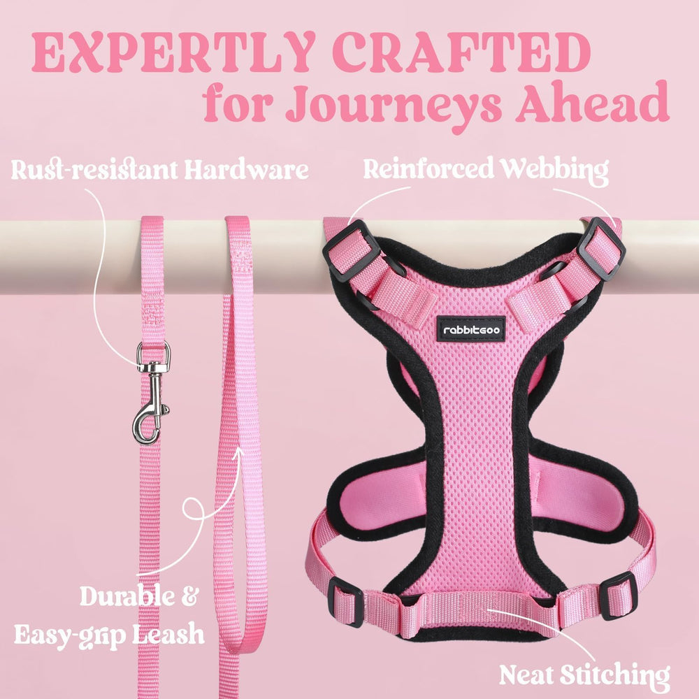 Rabbitgoo slip-on design enables quick fitting and minimal fuss for busy owners.