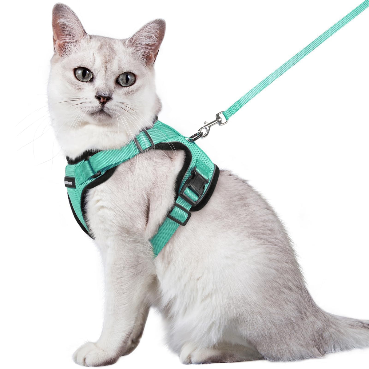 Rabbitgoo Emerald cat harness close-up showing escape-proof vest for safe walks.