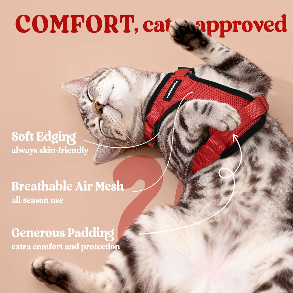 Rabbitgoo escape-proof closure with dual buckles secures adventurous outings