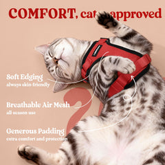 Rabbitgoo escape-proof closure with dual buckles secures adventurous outings